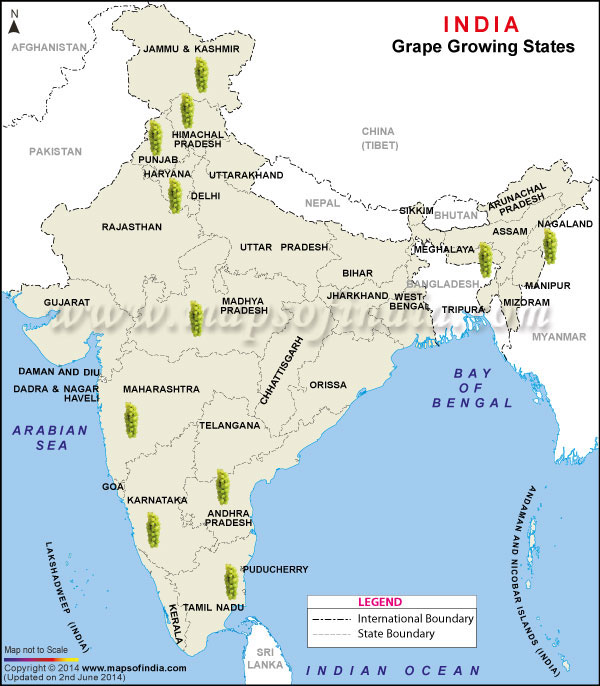 Grape Producing States Map