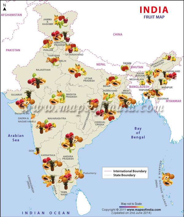 Map of Indian Fruit Producing States