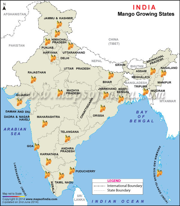 Mango Producing States Map