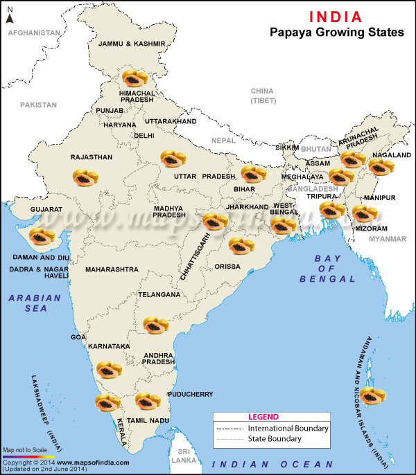 Papaya Producing States Map