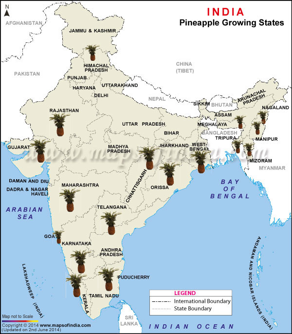 Pineapple Producing States Map