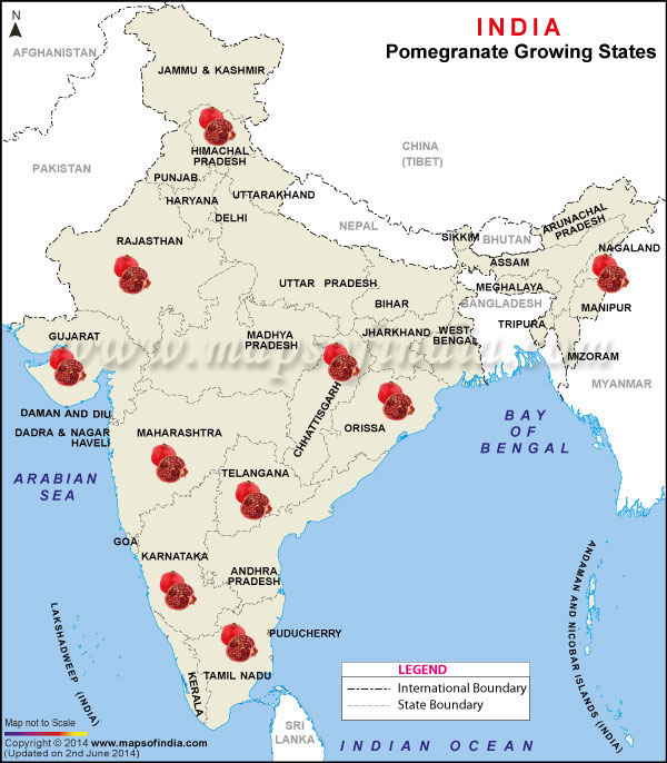 Pomegranate Producing States Map