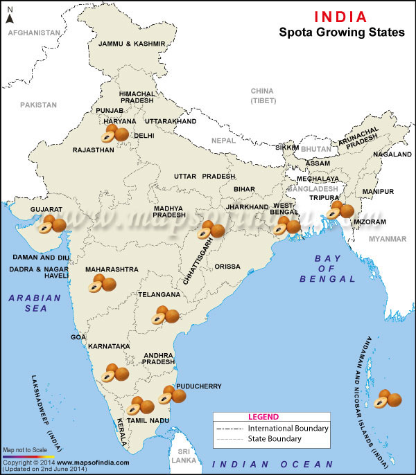 Sapota Producing States Map