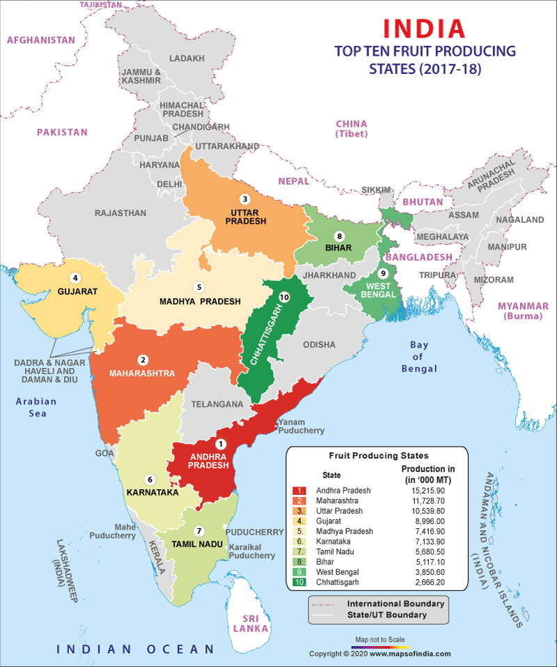 Top 10 Fruit Producing States