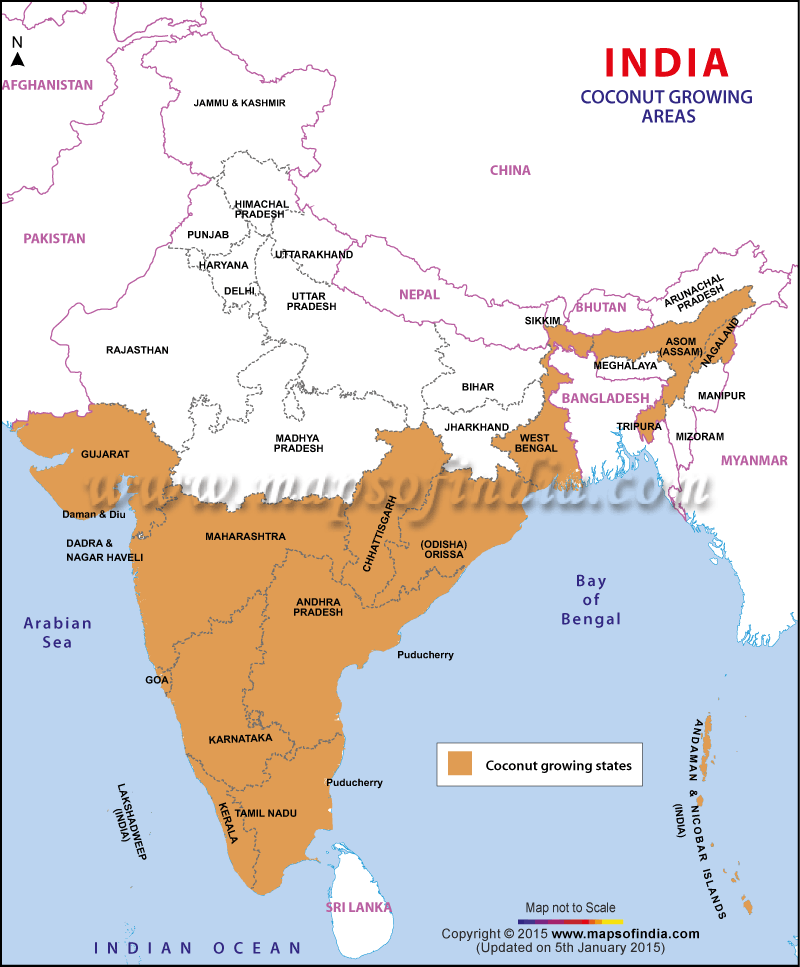 Coconut Growing States in India