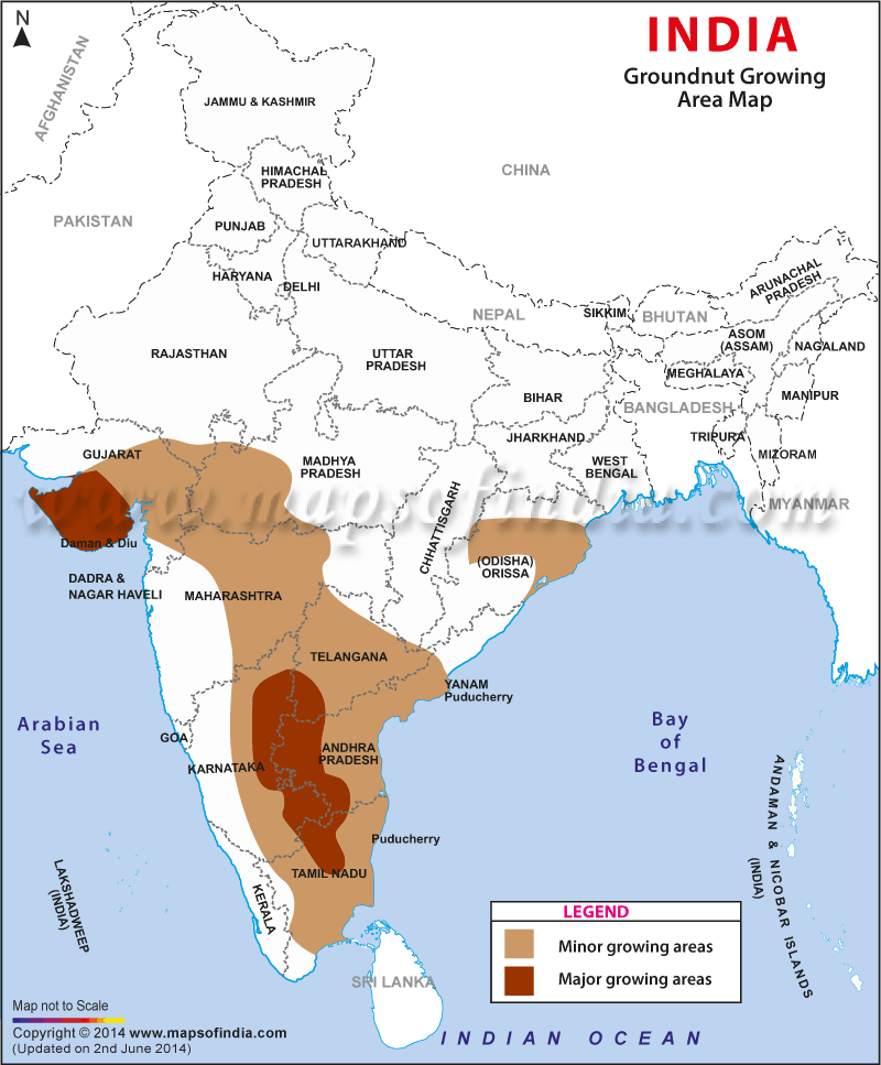 Map showing groundnut growing states in India