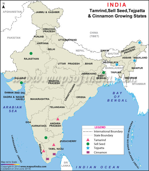 Map showing Dill Seed, Tejpat and Cinnamon growing states in India