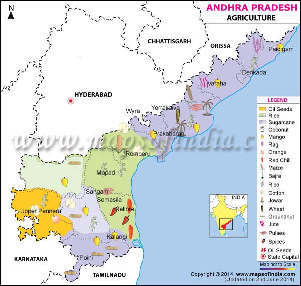 Agriculture Map of Andhra Pradesh