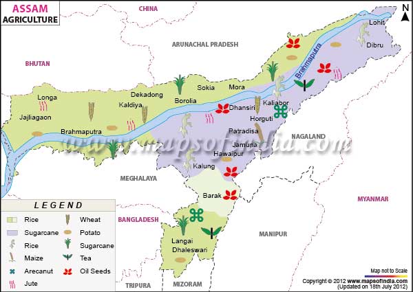 Assam Agriculture Map