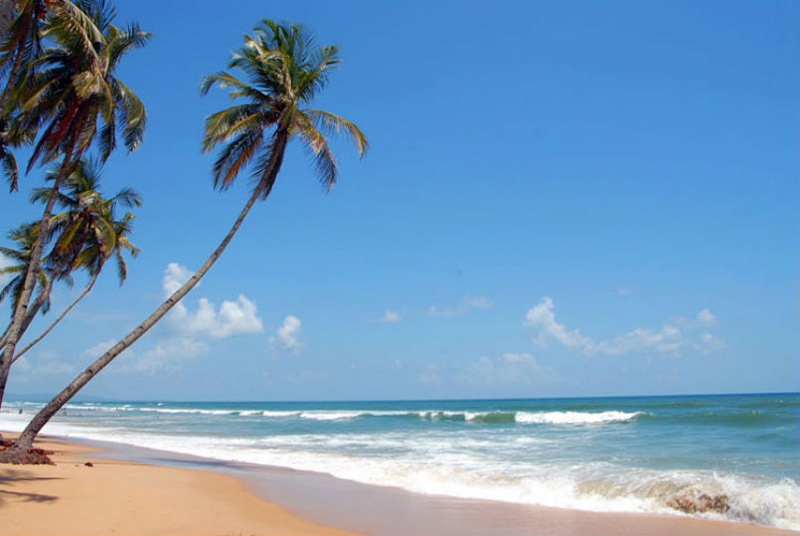Goa Is Quickly Claiming Its Place Among India's Destinations For Exciting Nightlife
