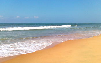 Candolim Beach