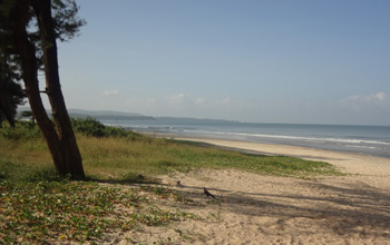 Cavelossim Beach