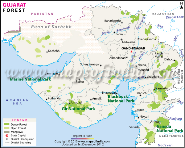 Forest Map of Gujarat 