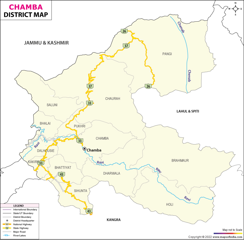 Chombas blancas lisas clearance