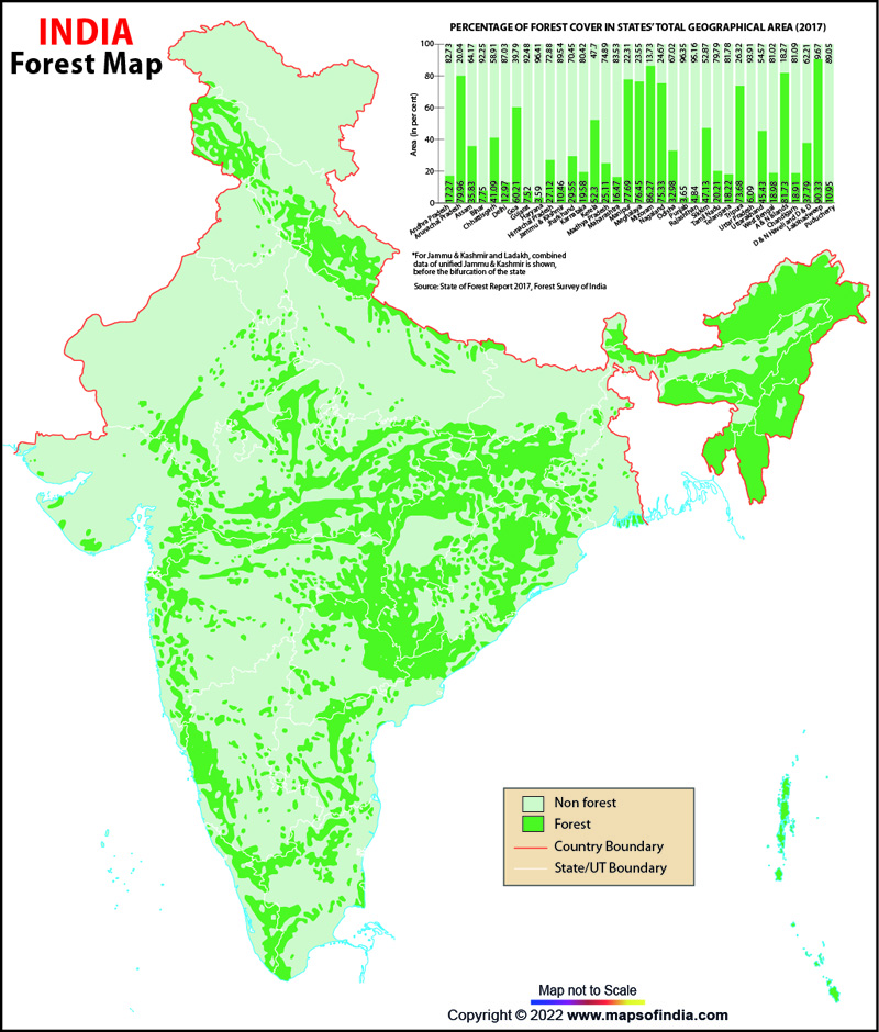 Forest Vegetation Map of India