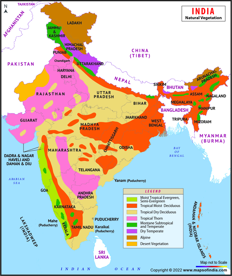 vegetation belts of india