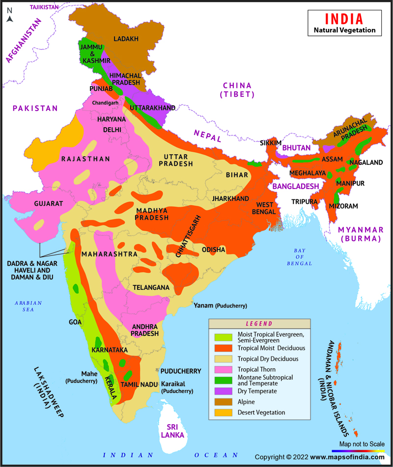 Vegetation Map Of India Get Map Update