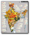 Indian Cuisine Map