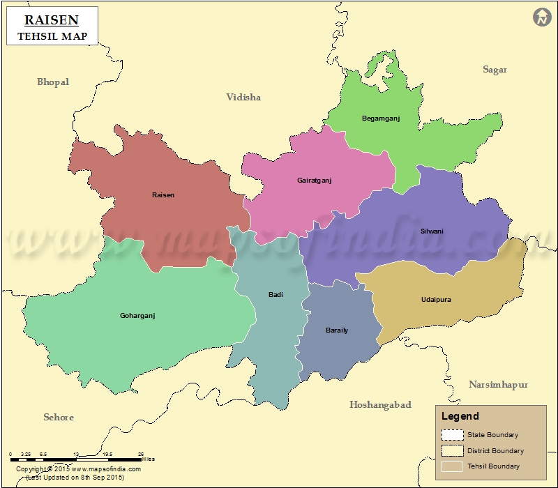 Tehsil Map of Raisen