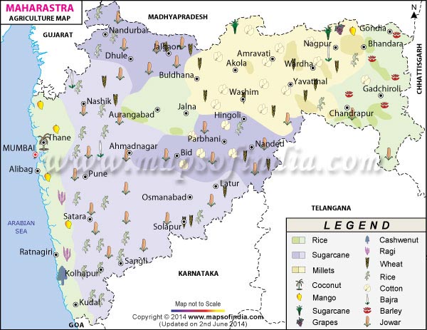 Maharashtra Agriculture Map