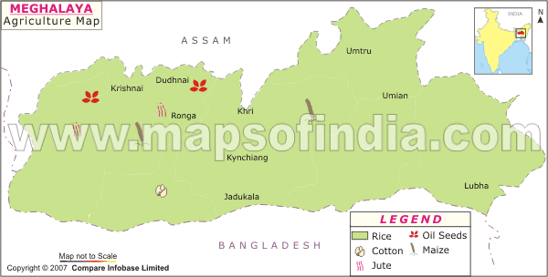 Meghalaya Agricultural Map