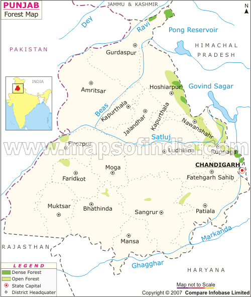 Punjab Forest Map