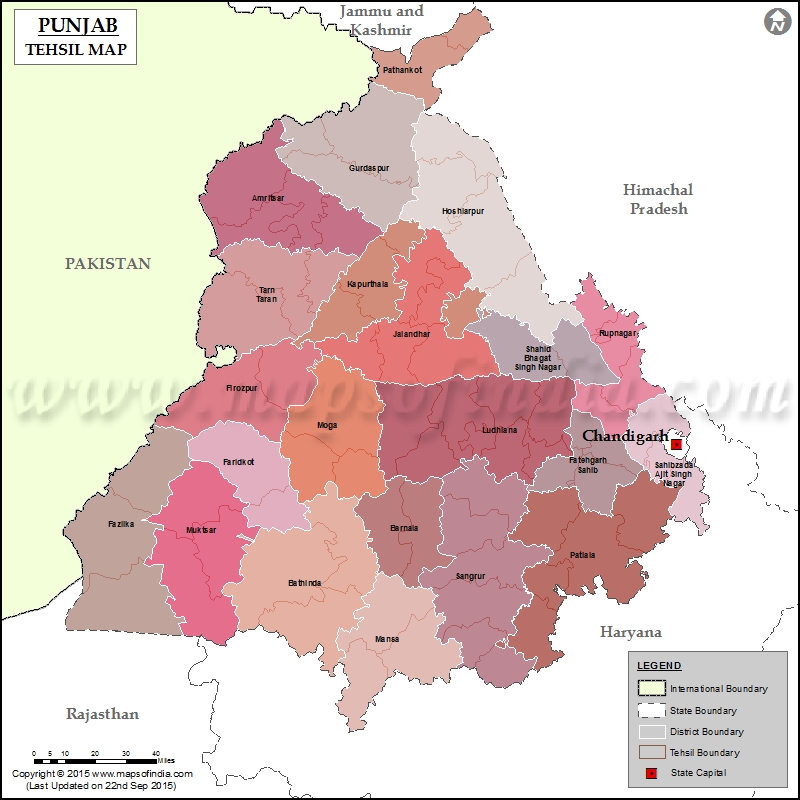 Punjab Tehsil Map