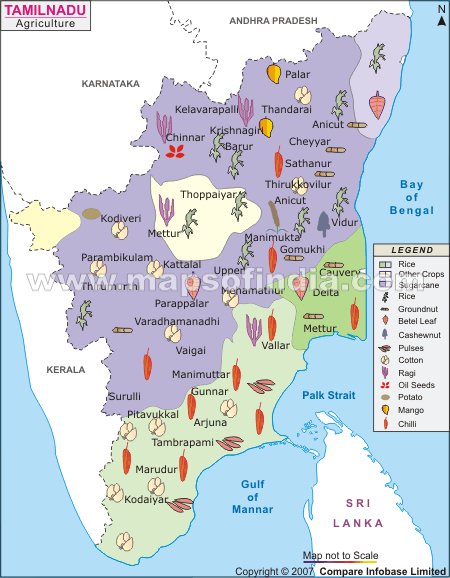 Agriculture Map of Tamil Nadu