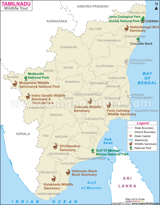 Wildlife Sanctuaries in Tamil Nadu, National Parks of Tamil Nadu