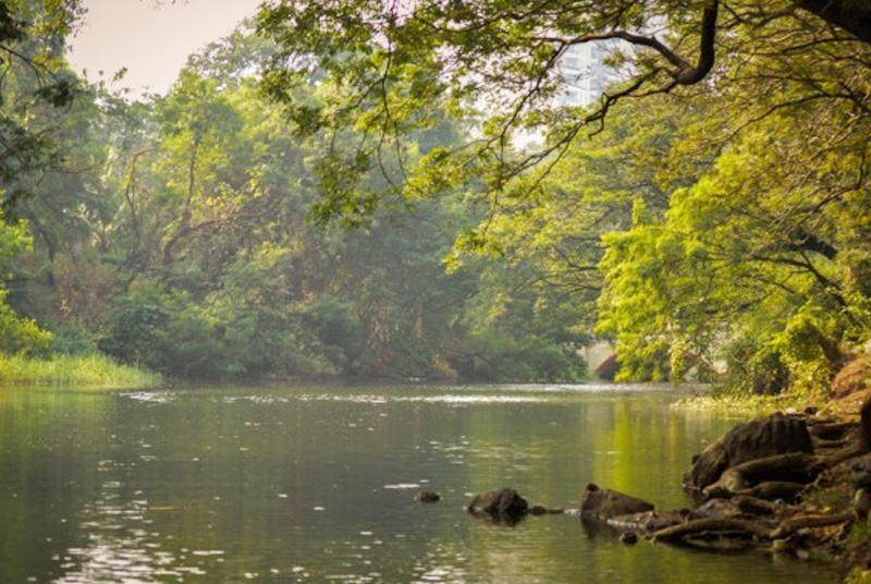 Lake inside the Sanjay Gandhi National Park