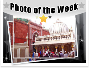 Photo of week