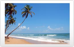 Goa - Plan Your Trip