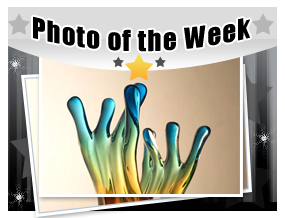 Picture of the Week