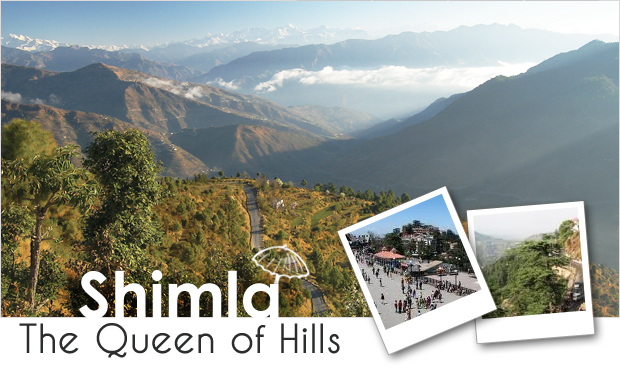 Shima - The Queen of Hill
