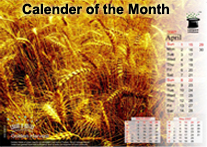 Calender of the Month