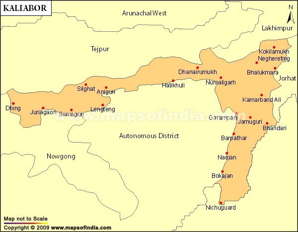 Kaliabor Parliamentary Constituencies