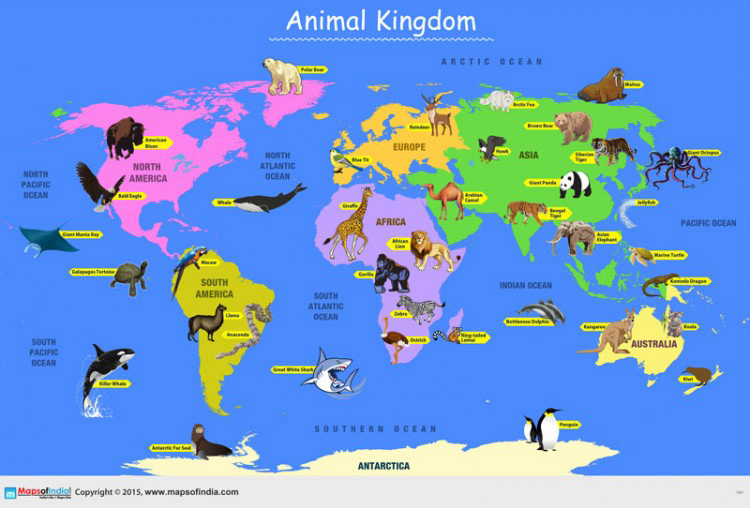 Animal Kingdom Map 