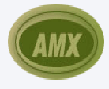 AMX Detectives (P) Ltd