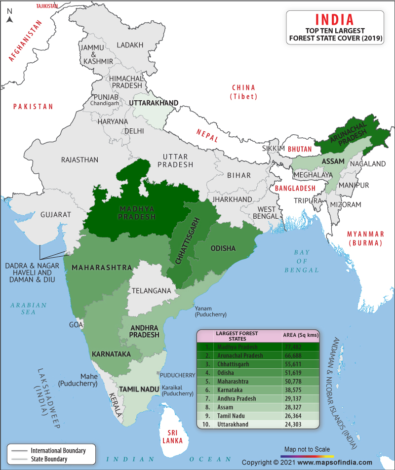 India Forests Map