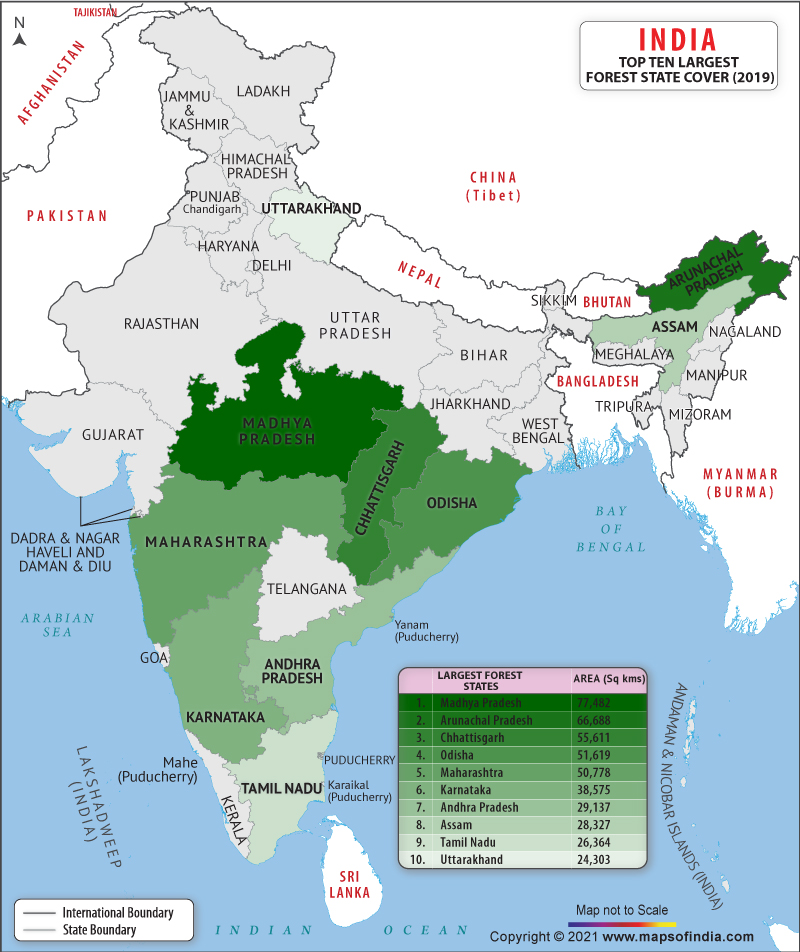 India By Of Forest Cover India Map India Map | Porn Sex Picture