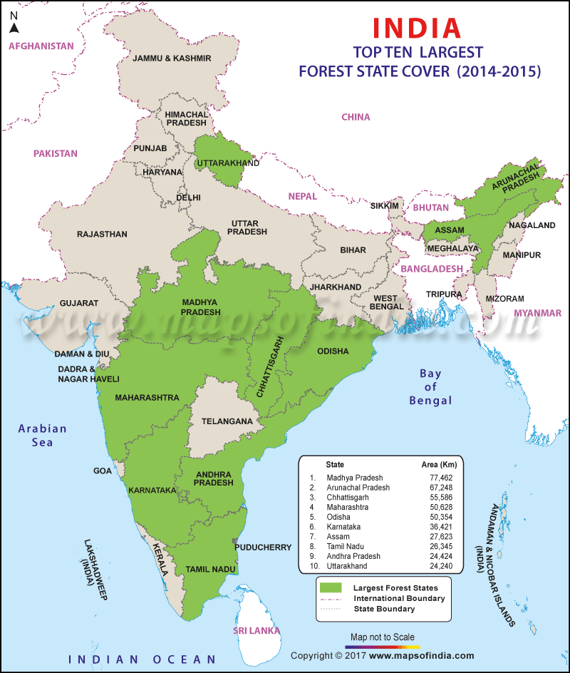 forest map of india States Having Largest Forest Cover In India forest map of india