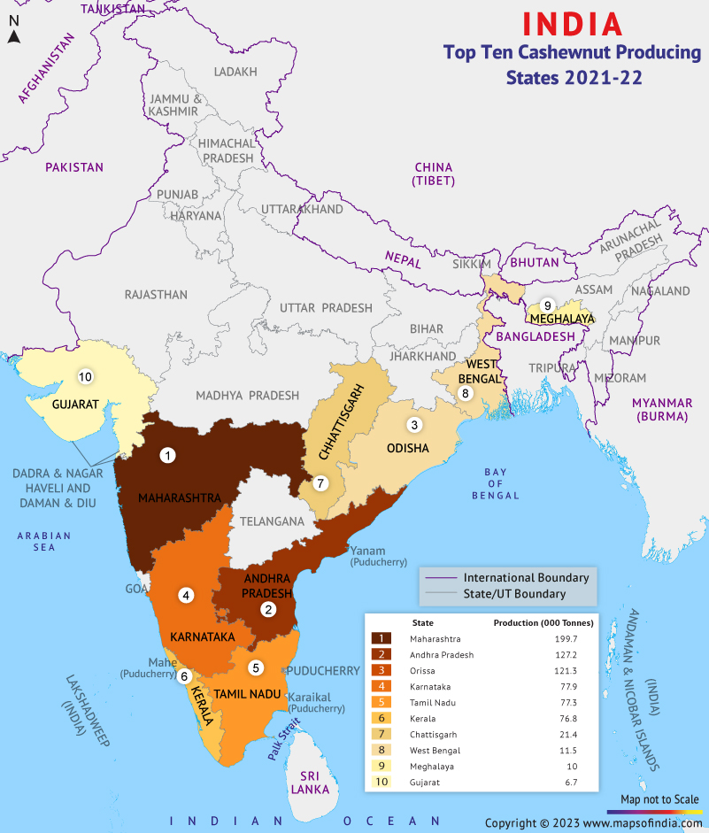 Map Showing Top 10 Cashew Nut Producing States in India
