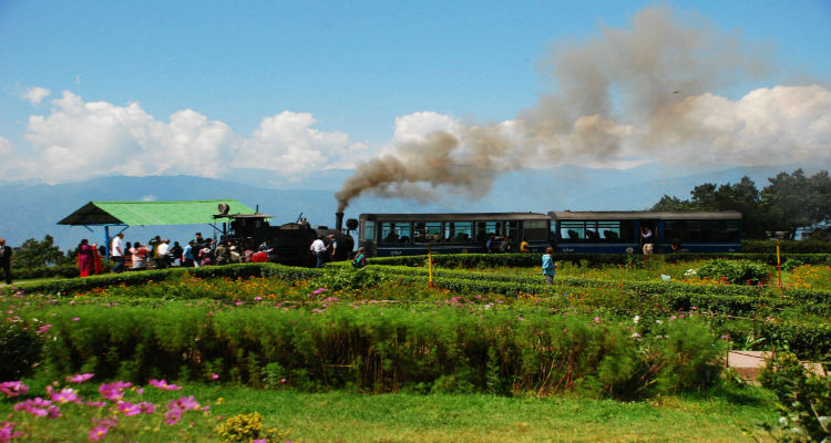 Darjeeling Train at the Batista Loop