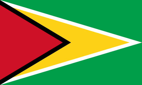 Guyana National Flag