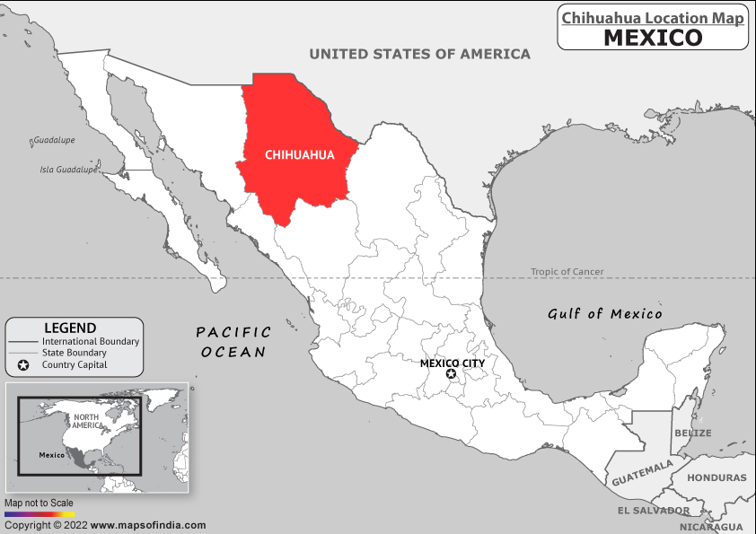 chihuahua Location Map